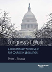 Congress at Work: A Documentary Supplement for Courses in Legislation by Peter L. Strauss