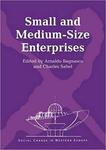 Small and Medium-Size Enterprises